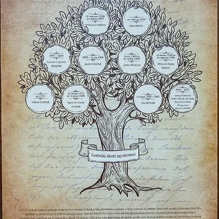 Pocitniska Hisa Koca Dobnik Lovrenc na Pohorju