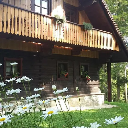 Pocitniska Hisa Koca Dobnik Lodge *