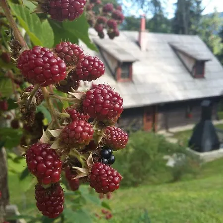 Pocitniska Hisa Koca Dobnik * Lovrenc na Pohorju