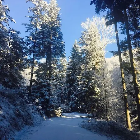 Pocitniska Hisa Koca Dobnik Lodge