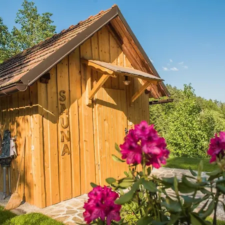 Pocitniska Hisa Koca Dobnik Lovrenc na Pohorju