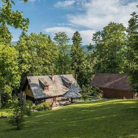 Pocitniska Hisa Koca Dobnik *
