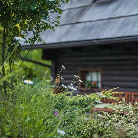 Lodge Pocitniska Hisa Koca Dobnik