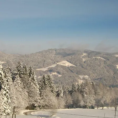 Pocitniska Hisa Koca Dobnik * Lovrenc na Pohorju