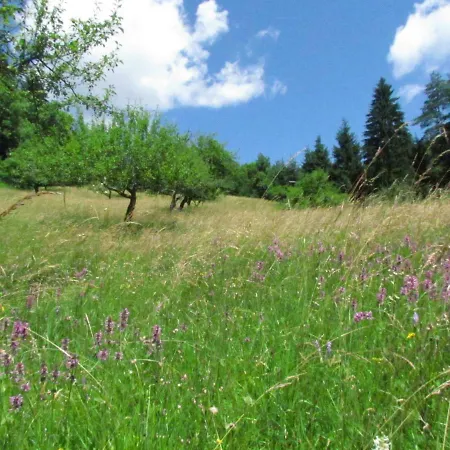 Lodge Pocitniska Hisa Koca Dobnik Lovrenc na Pohorju