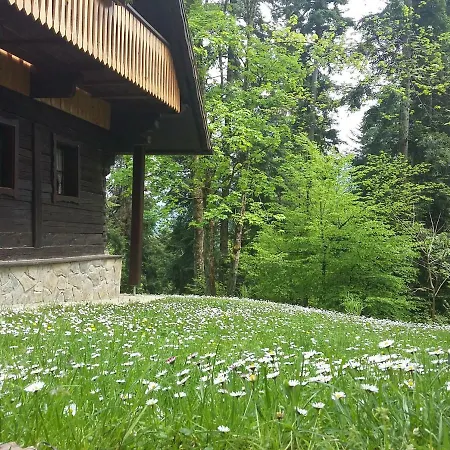 Pocitniska Hisa Koca Dobnik Lodge