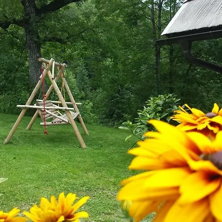 Pocitniska Hisa Koca Dobnik Lovrenc na Pohorju