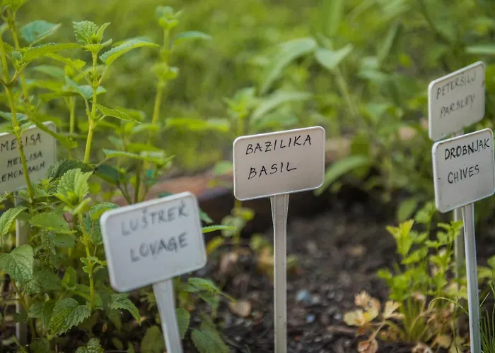 Pocitniska Hisa Koca Dobnik * Lovrenc na Pohorju