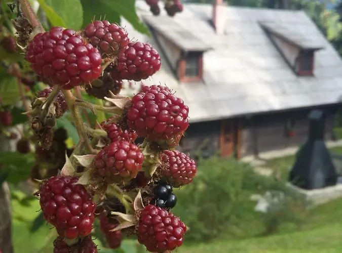 Pocitniska Hisa Koca Dobnik * Lovrenc na Pohorju