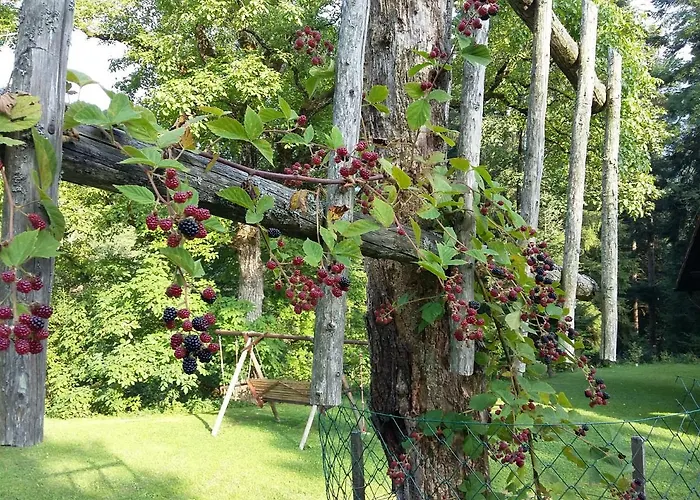 Pocitniska Hisa Koca Dobnik 롯지 *