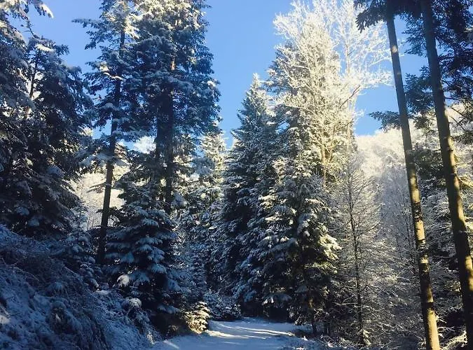 Pocitniska Hisa Koca Dobnik Hytte