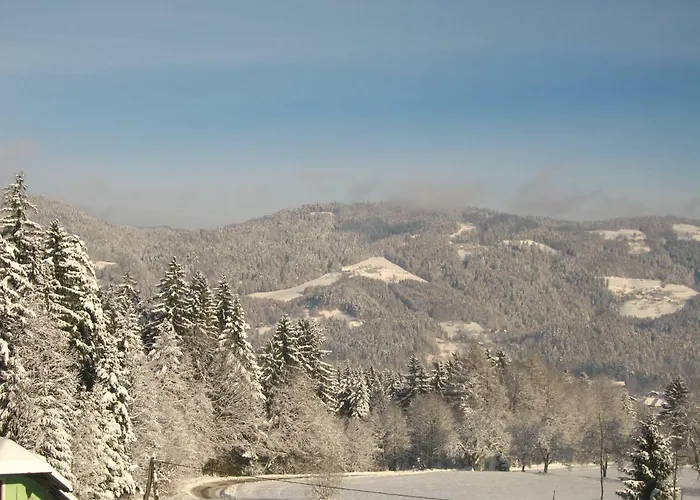 Pocitniska Hisa Koca Dobnik * Lovrenc na Pohorju