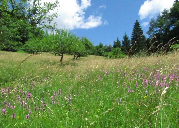 Hytte Pocitniska Hisa Koca Dobnik Lovrenc na Pohorju