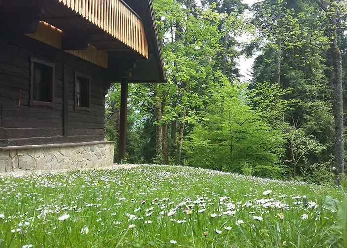 Pocitniska Hisa Koca Dobnik Hytte